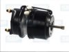 MERCE 0194205618 Spring-loaded Cylinder